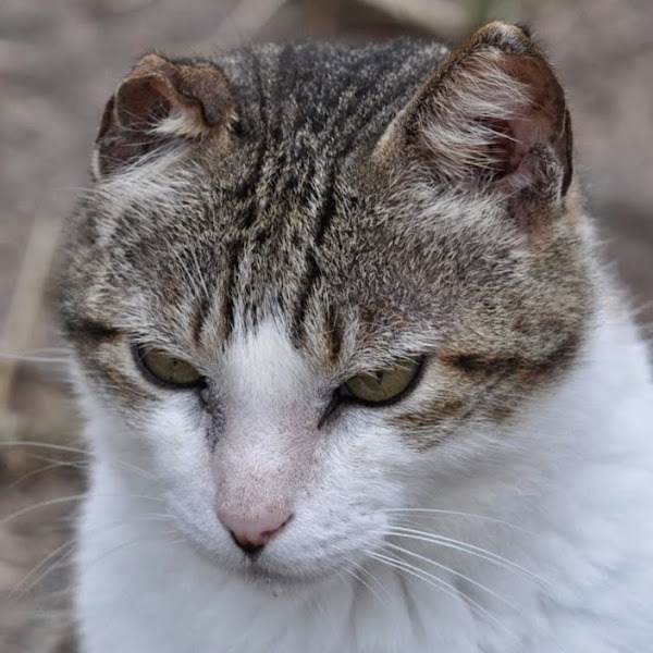 TBKHomeworld_1307458