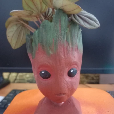 Chậu Trồng Cây Đầu Baby Groot