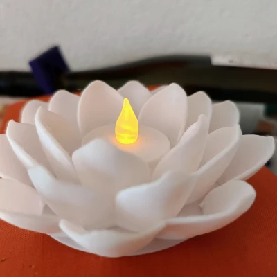Hoa Sen Ánh Sáng "Light Lotus"
