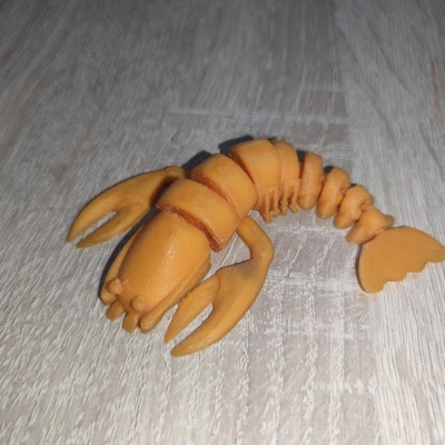 Tôm Hùm Khớp Nối