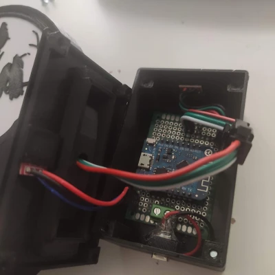 Đèn LED Alice ở xứ sở thần tiên