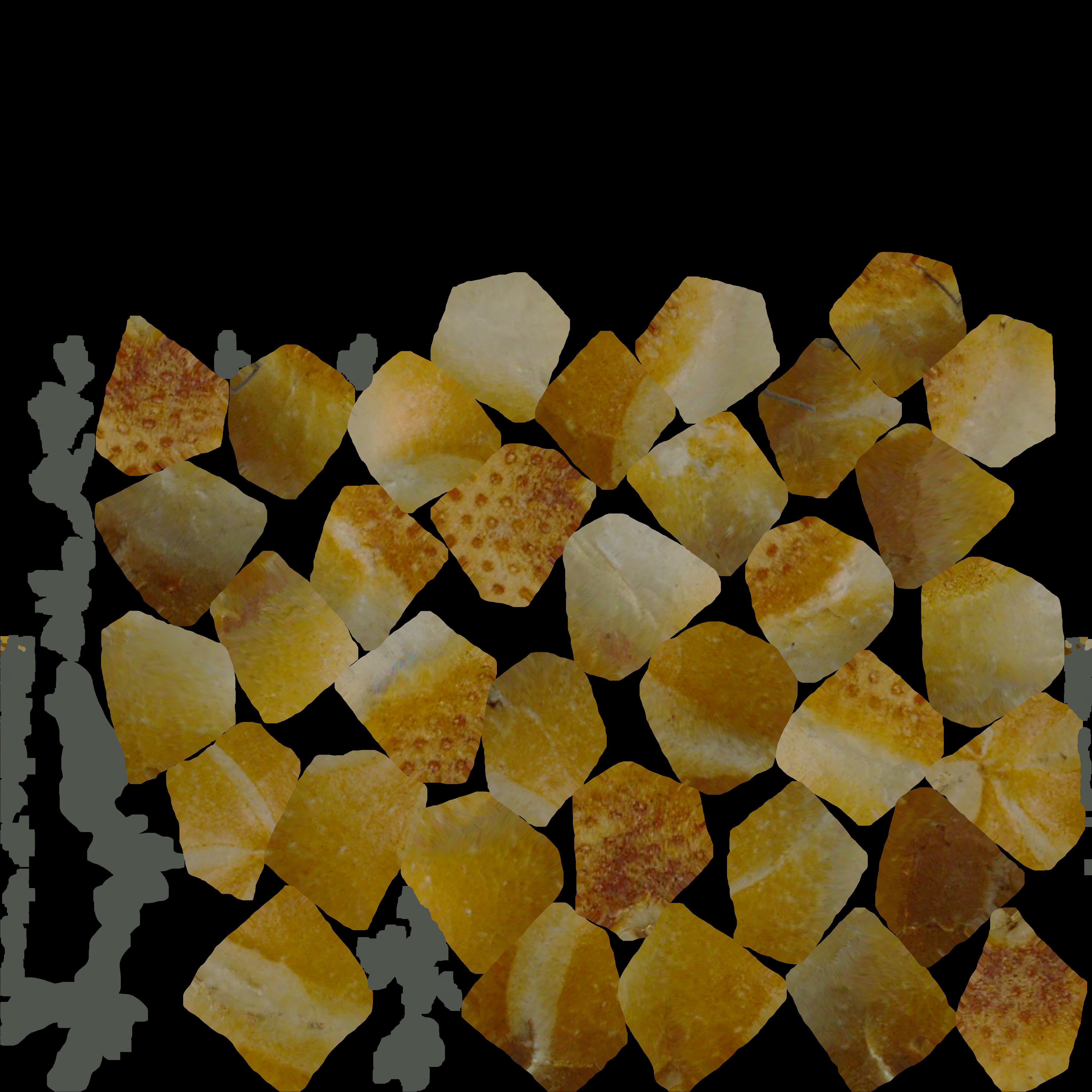 Ổ Bánh Mì / Bun Quét 3D