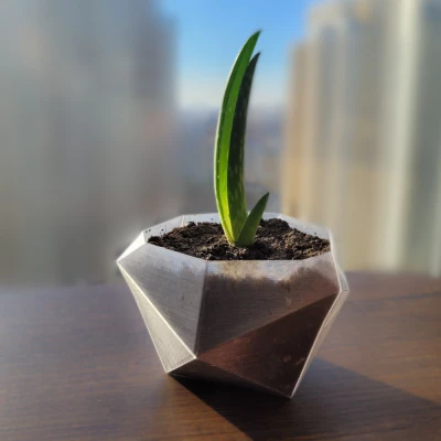 Chậu Cây Hình Khối Học Vuông