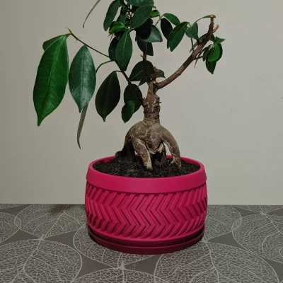 Chậu cây hiện đại có đĩa lót