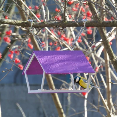 Máng Ăn Chim Bằng Nhựa PETg Siêu Bền