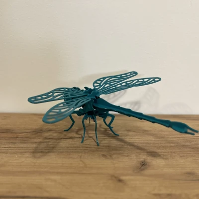 Mô Hình "Dragonfly" 3D Puzzle