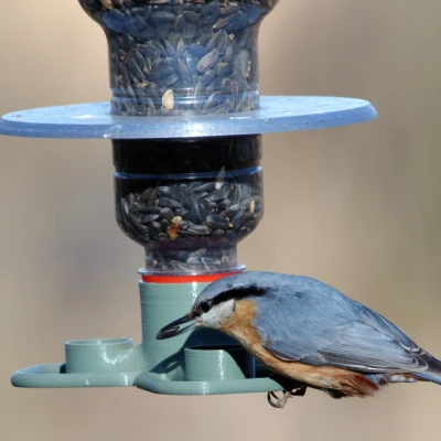 Khay đựng thức ăn T383 "troják" cho chim