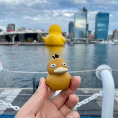 Pokemon Psyduck - phong cách vịt