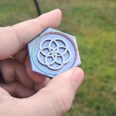 Tiền Xu "Challenge Coin" Quà Tặng Castmember - Epcot