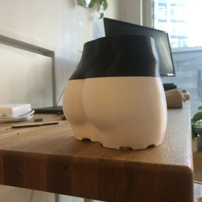 Chậu cây hình mông