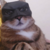 Mặt nạ mèo Batman 'Bat-cat' - Thumbnail 1
