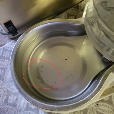 Cái Rây Chống Mèo Vô Nước Uống