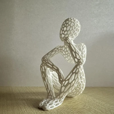 Tượng Điêu Khắc Voronoi Beyond Sight