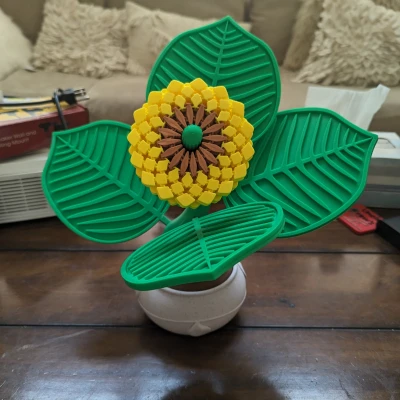 Đế Lót Ly Hình Hoa Hướng Dương - Remix