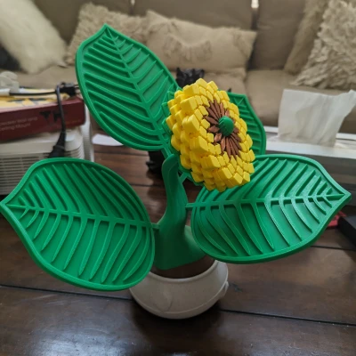 Đế Lót Ly Hình Hoa Hướng Dương - Remix