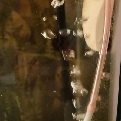 đá sủi oxy cho cá