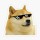 RandomDoge_1557446