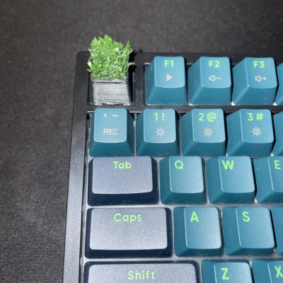 Keycap "Ra Vườn Làm Cỏ"