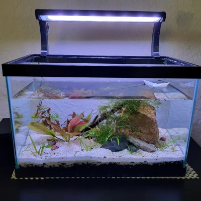 Đèn hồ cá và hộp bo mạch chủ