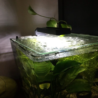 Chao đèn cho hệ thống đèn LED Chihiros Series C