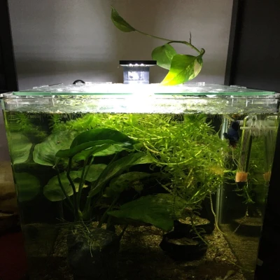 Chao đèn cho hệ thống đèn LED Chihiros Series C