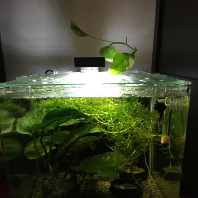 Chao đèn cho hệ thống đèn LED Chihiros Series C