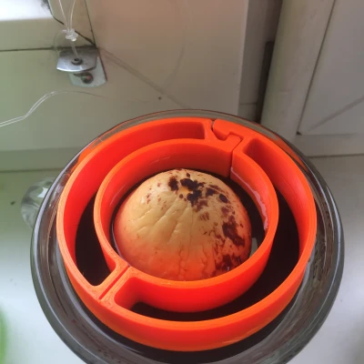 Vỏ Hạt Bơ Có Thể Mở