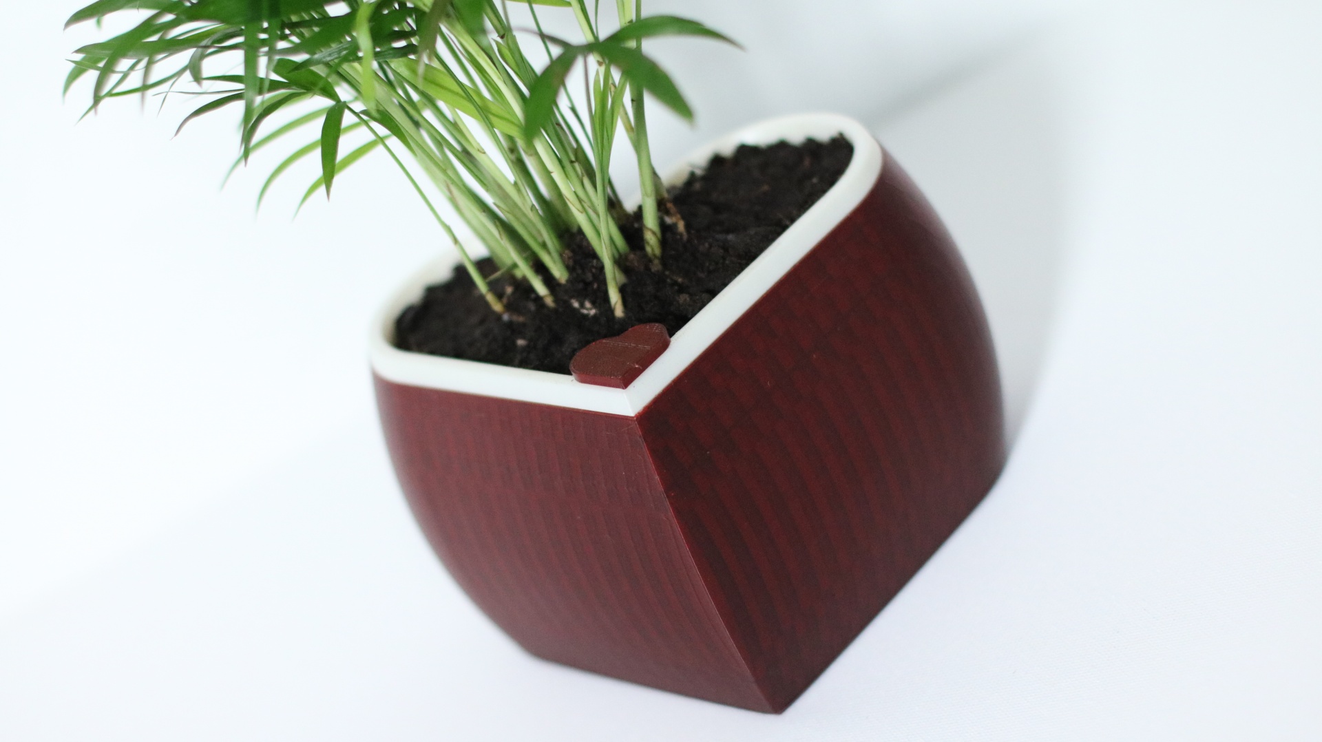 Chậu Tự Tưới Hình Trái Tim