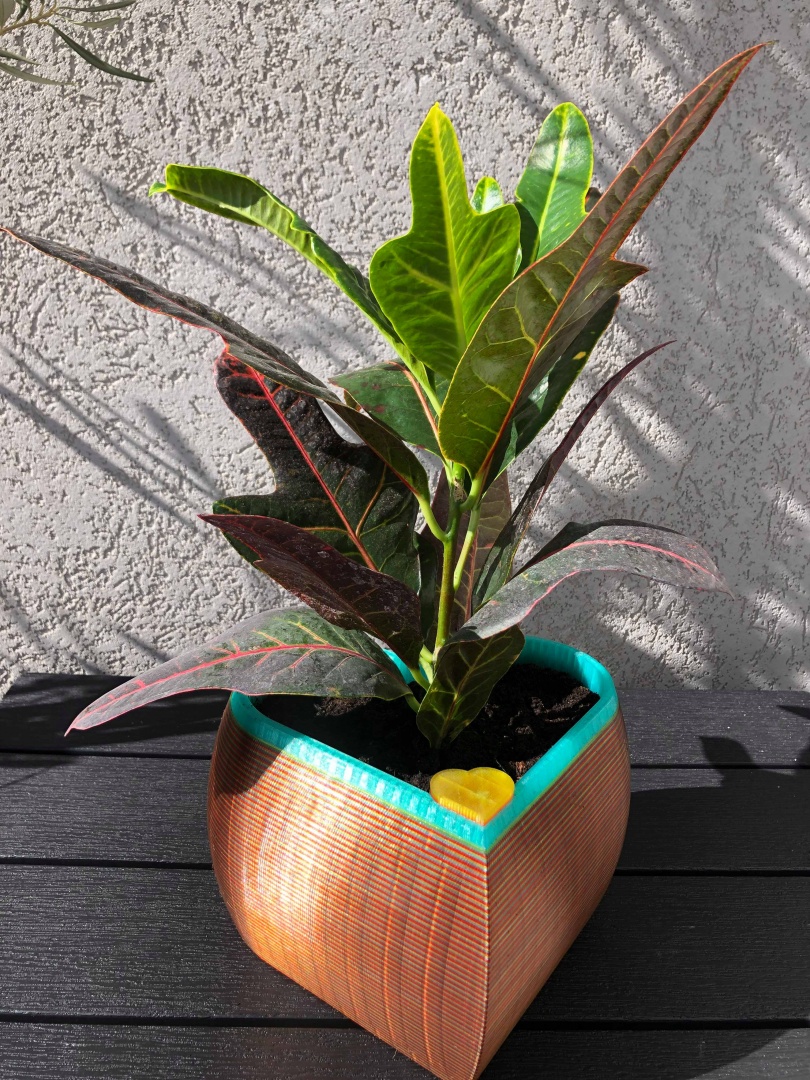 Chậu Tự Tưới Hình Trái Tim