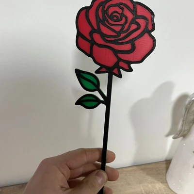 Hoa Hồng Valentine Đa Sắc