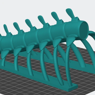 Lồng sườn (Aquarium Rib cage)