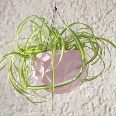 Chậu Treo Hình Khối Địa Lý