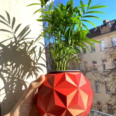 Chậu Cây Hình Học Geodesic