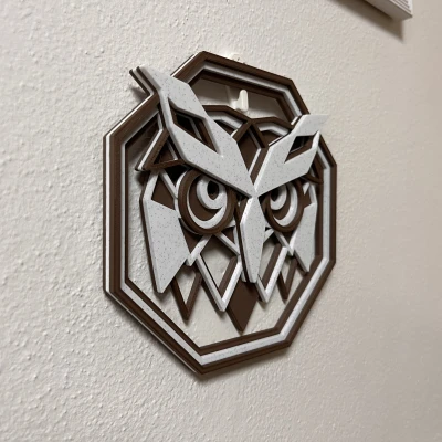 Trang trí Hình con Cú