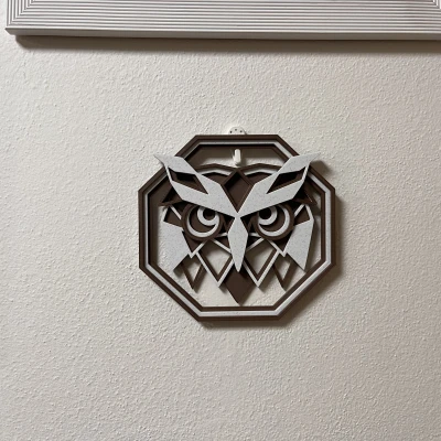 Trang trí Hình con Cú