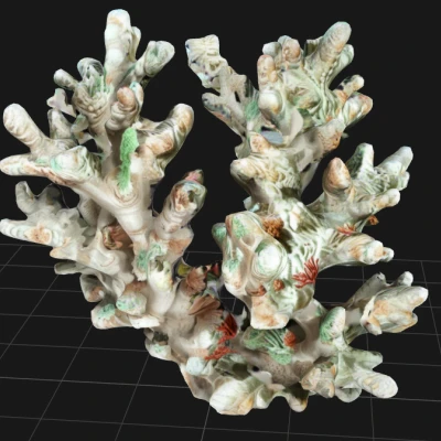 Trang trí Hồ Cá - Nhánh San Hô