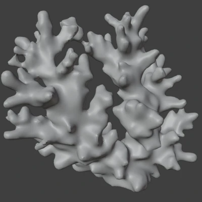 Trang trí Hồ Cá - Nhánh San Hô