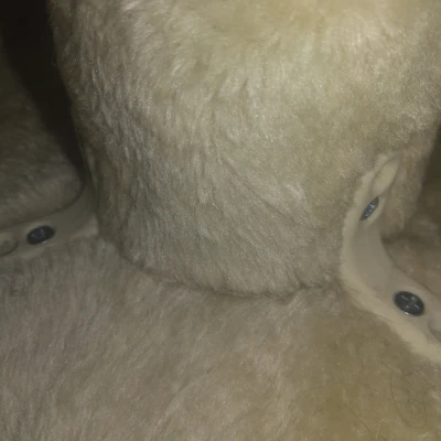 Pát Góc Chân Cây Mèo