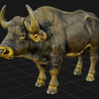 Mô hình 3D Trâu Phi