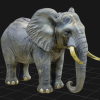 Tượng Voi Châu Phi Đực - Thumbnail 3