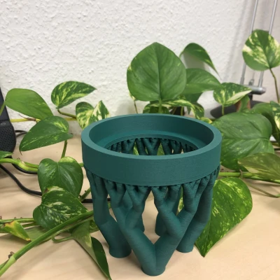 Cá Bay Aqualift - Cho Cá Khám Phá Thế Giới