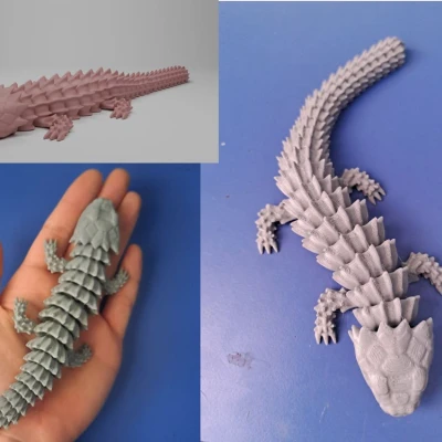 Thằn Lằn Tatu Khớp Nối