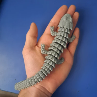 Thằn Lằn Tatu Khớp Nối