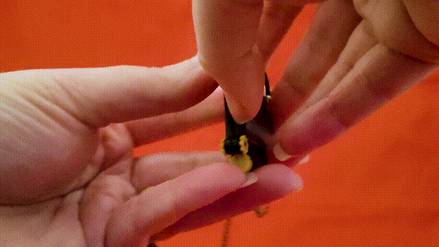 Mặt Dây Chuyền Fidget Valentine Cổ Điển