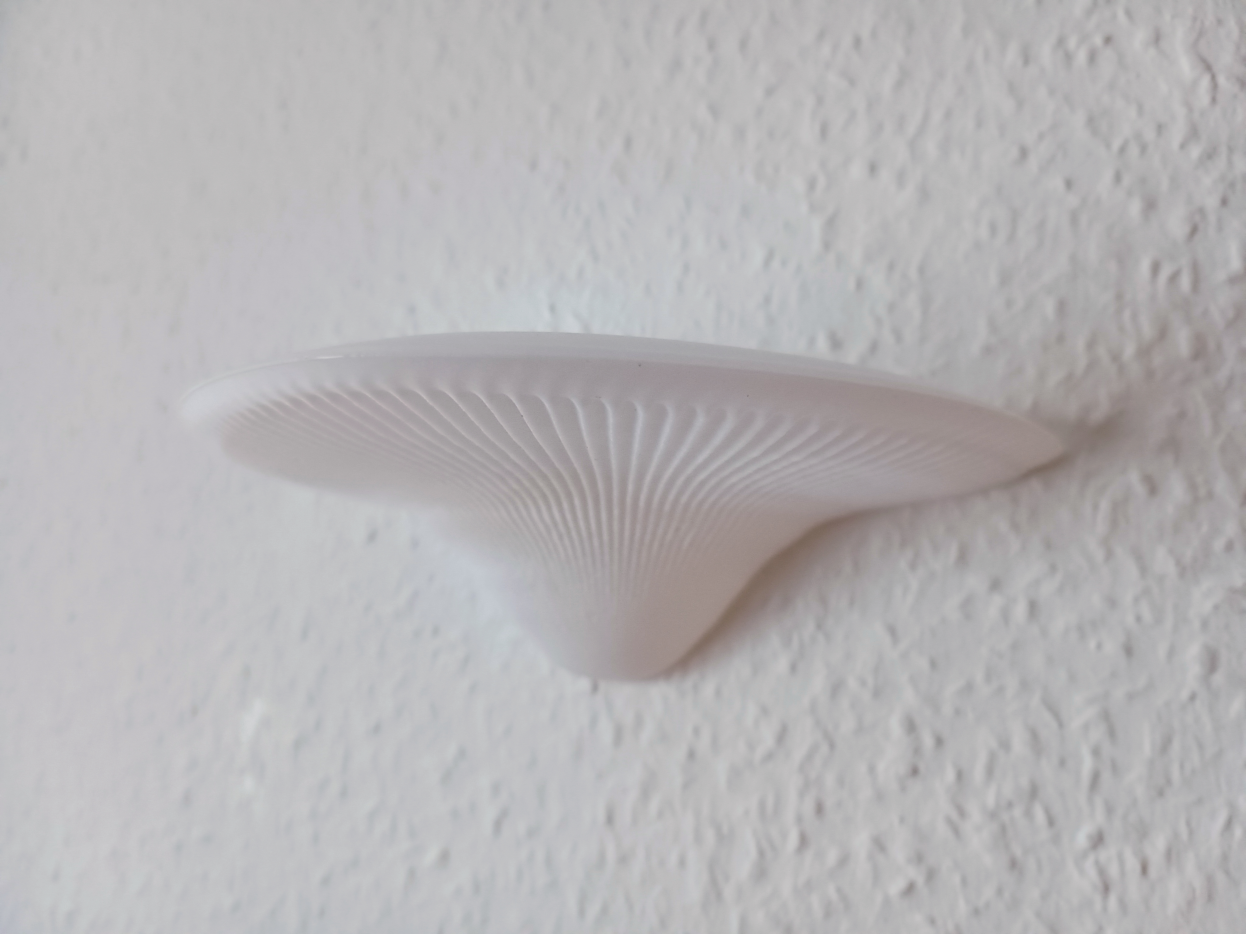 Chân Nấm Chế Độ Vase Mode