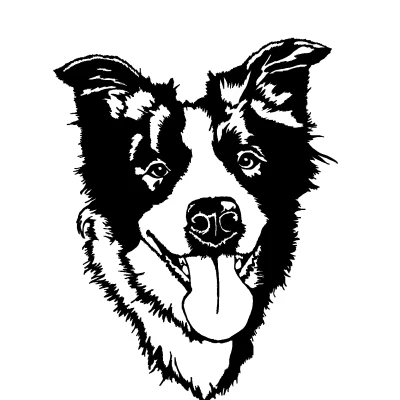 Tranh tường "Bala" Chó Border Collie