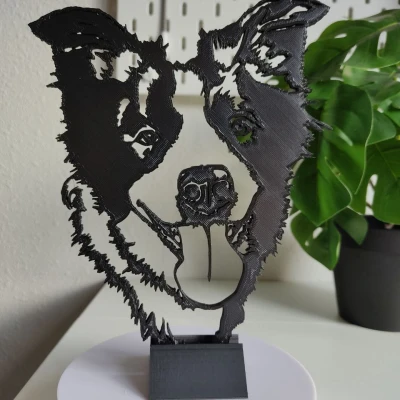 Tranh tường "Bala" Chó Border Collie