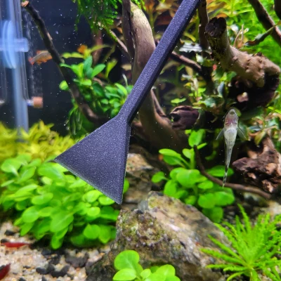 Dụng cụ cào cảnh - Người bạn thân thiết của dân chơi thủy sinh