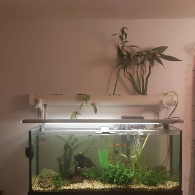 Khung Gắn Đèn Hồ Cá Kết Hợp Aquaponics