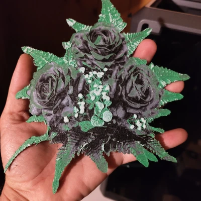 Hueforge - Hoa Hồng Xanh